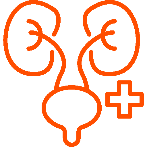 Urologia